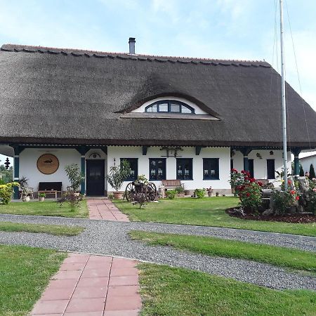 Agropensiunea Beluga Gorgova Exteriör bild