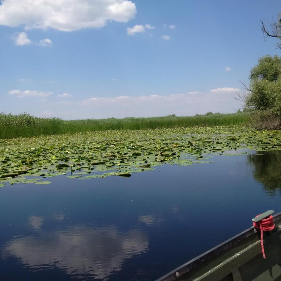 Agropensiunea Beluga Gorgova Exteriör bild